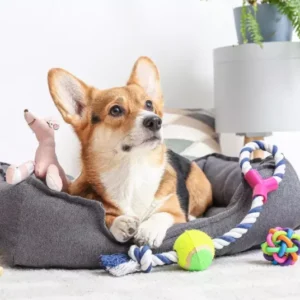 Pet Shop